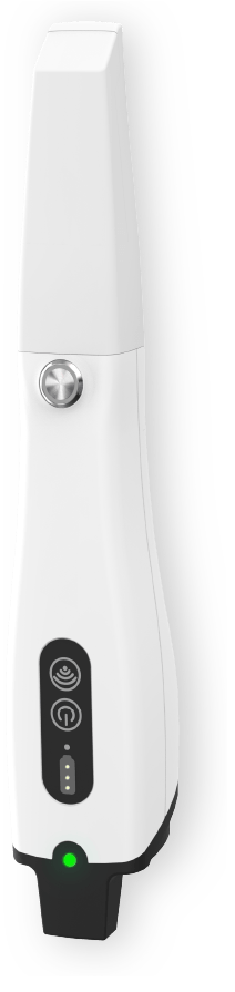 PANDA P4