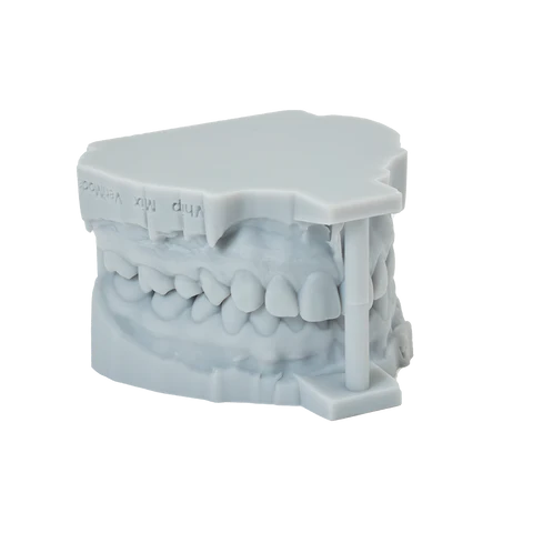 Dental Restoration Model Resin