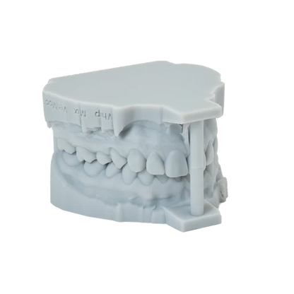 Dental Restoration Model Resin