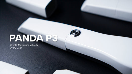 PANDA P3 Plus